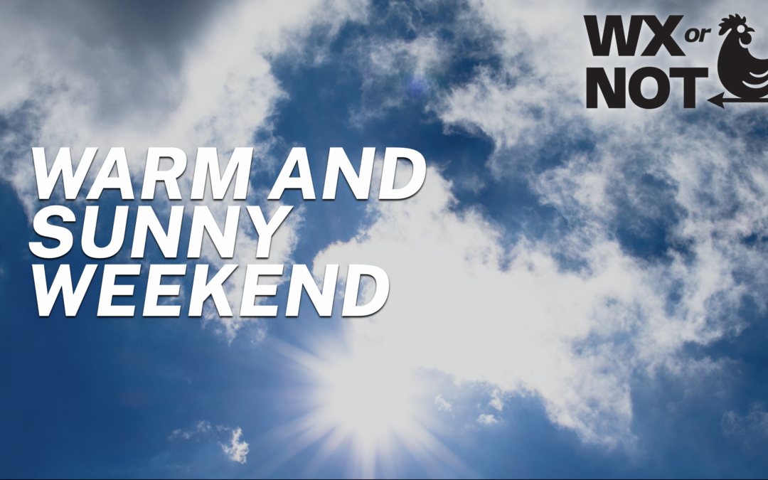 Warm and Sunny Weekend